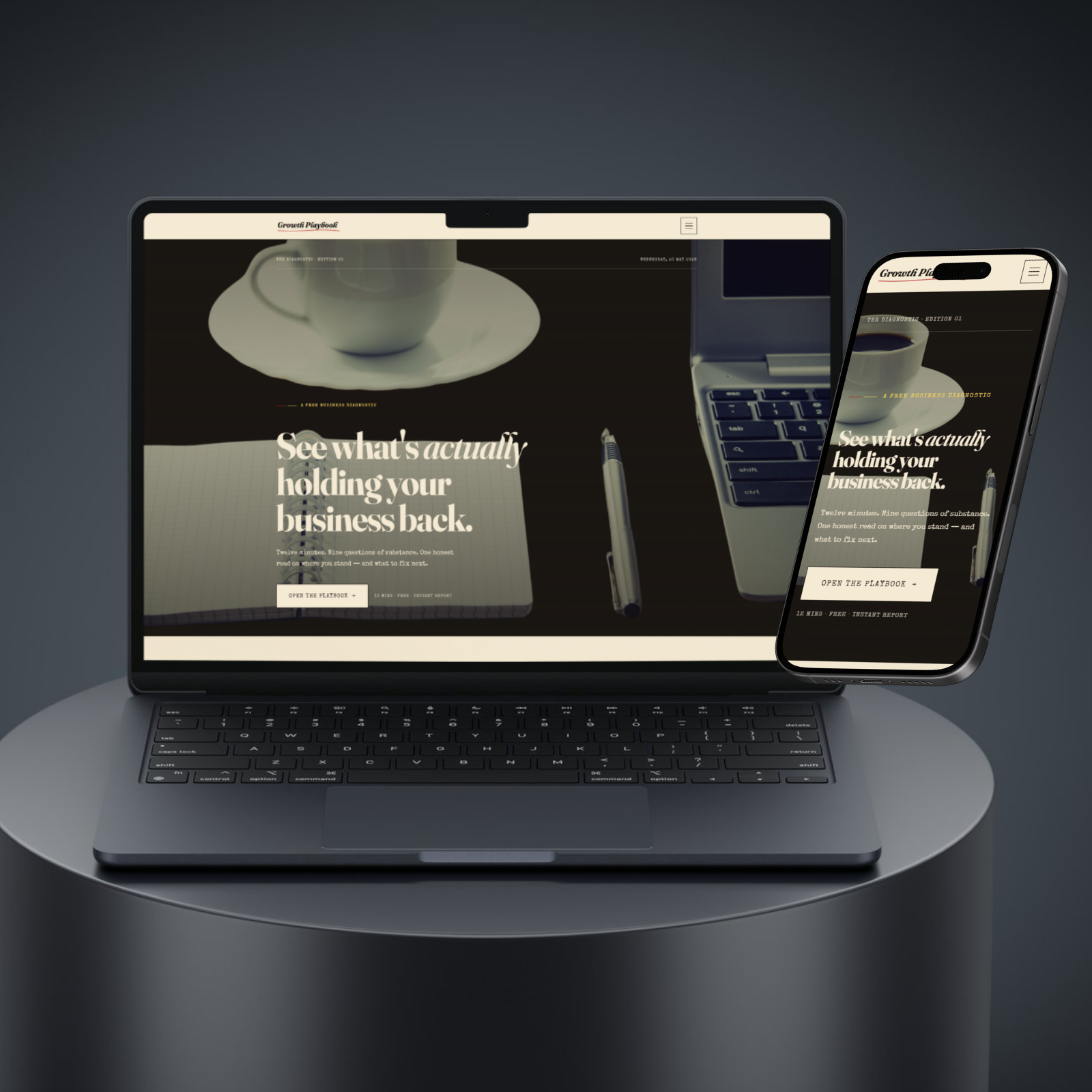 Growth Playbook case study